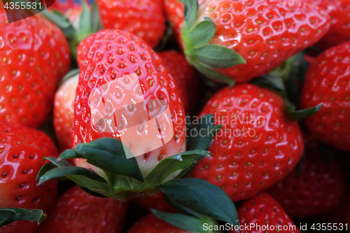 Image of Fresh and red strawberries