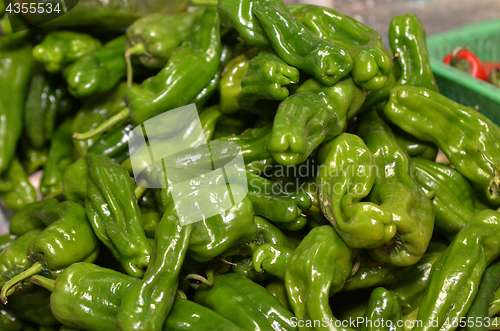 Image of Tray of green pepper