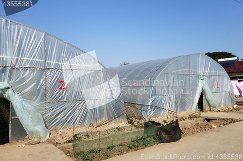 Image of Large greenhouse for plants in the autumn