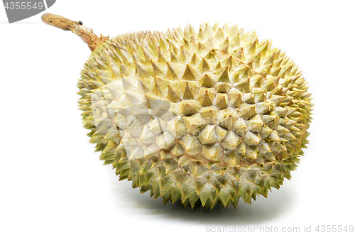 Image of Durian fruit isolated on white background
