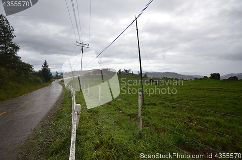 Image of Cattle Farm in Kundasang Sabah