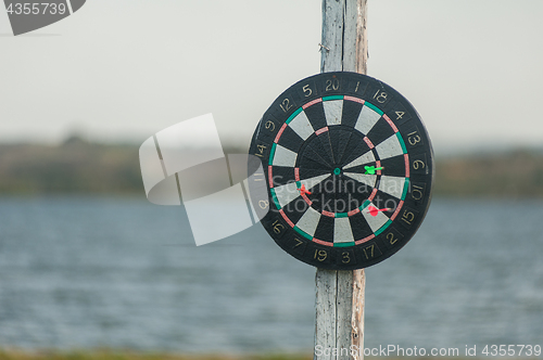 Image of darts at the nature