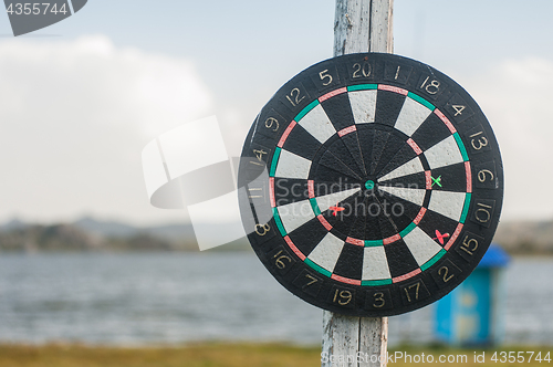 Image of darts at the nature