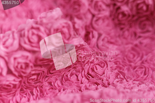 Image of Pink rose background