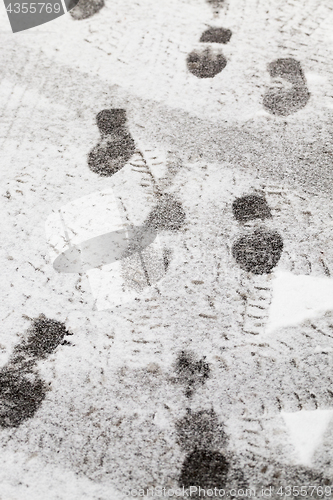 Image of tracks in the snow