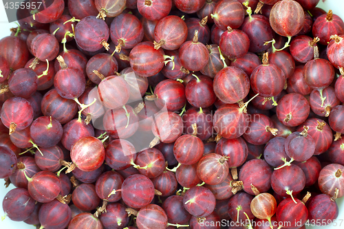 Image of Gooseberry close-up background