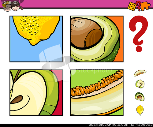 Image of educational activity with fruits