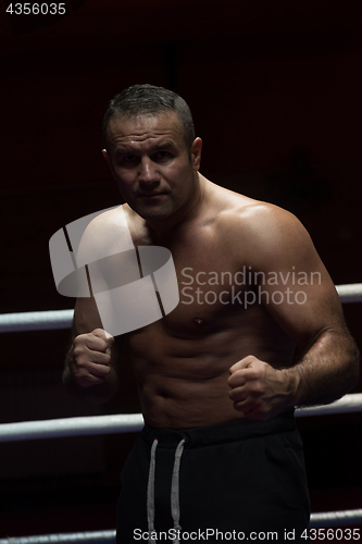 Image of professional kickboxer in the training ring