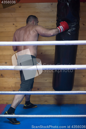 Image of kick boxer training on a punching bag