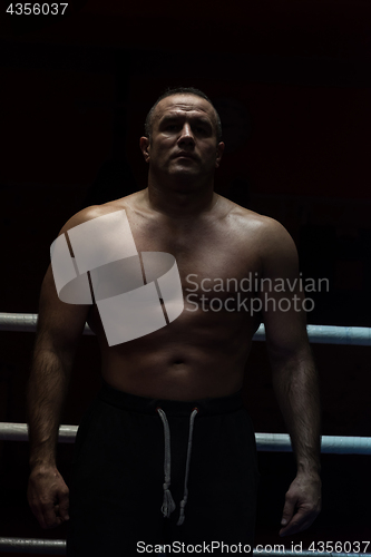 Image of portrait of muscular professional kickboxer