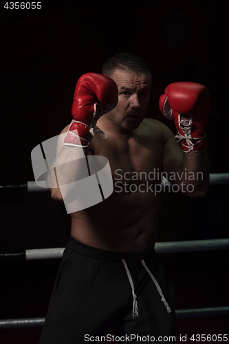 Image of professional kickboxer in the training ring