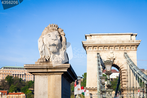 Image of BUDAPEST, HUNGARY - 2017 MAY 19th: lion statue at the beginning 