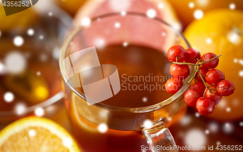 Image of close up of tea cup with rowanberry