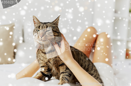 Image of young woman with cat lying in bed at home