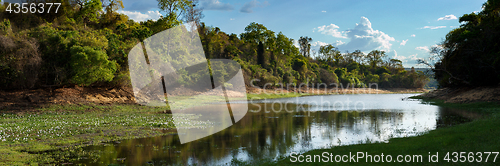 Image of Rainforest in Ankarafantsika park, Madagascar