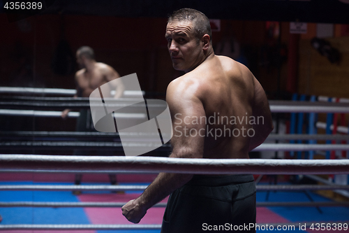 Image of muscular professional kickboxer
