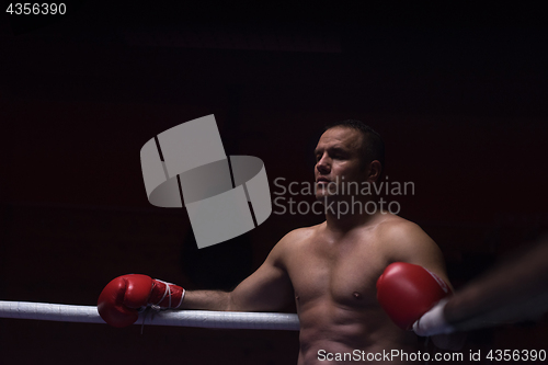 Image of kick boxer resting on the ropes in the corner