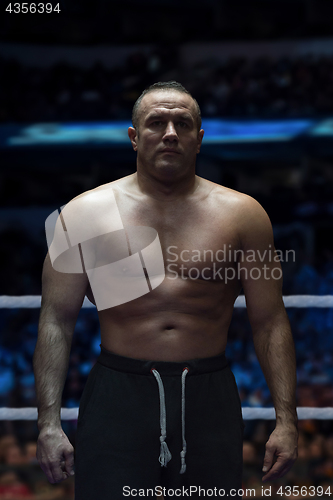 Image of professional kickboxer in the training ring