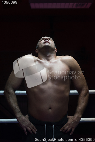 Image of portrait of muscular professional kickboxer