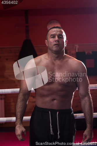 Image of portrait of muscular professional kickboxer