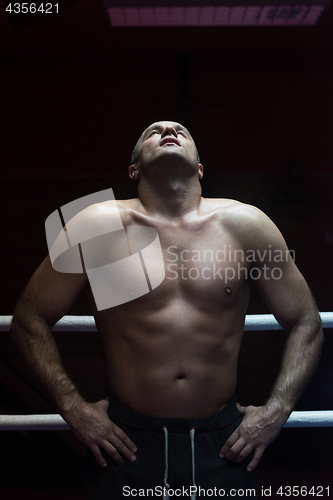 Image of portrait of muscular professional kickboxer