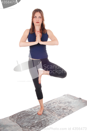 Image of Exercising woman standing on one leg