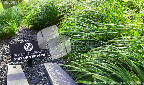 Image of PROTECT THE PLANTS sign in a flower bed 