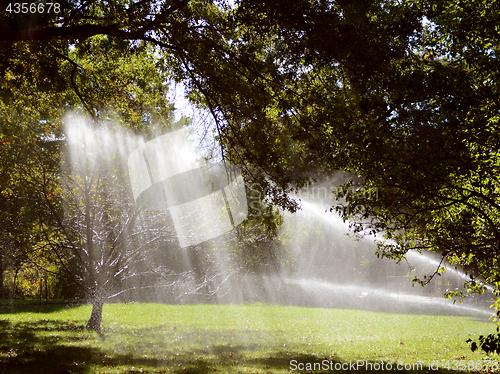 Image of Sunlight shines through trees and water from a sprinkler