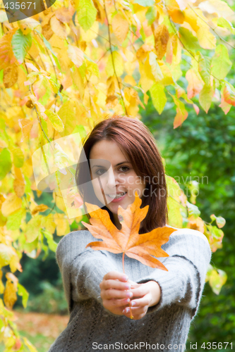 Image of Caucasian girl in fall season