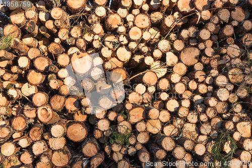 Image of Pulpwood pile pattern