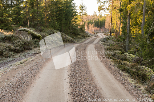 Image of Winding gravel road in a forest