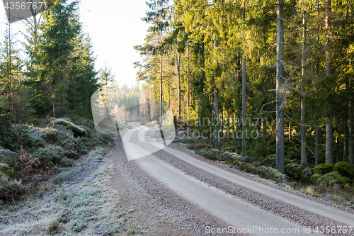 Image of Frosty gravel road in a forest