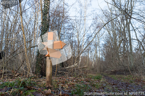 Image of Colorful wooden arrows in a forest