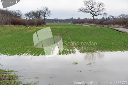 Image of Farmers flooded field 