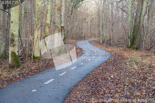 Image of Winding cycle lane