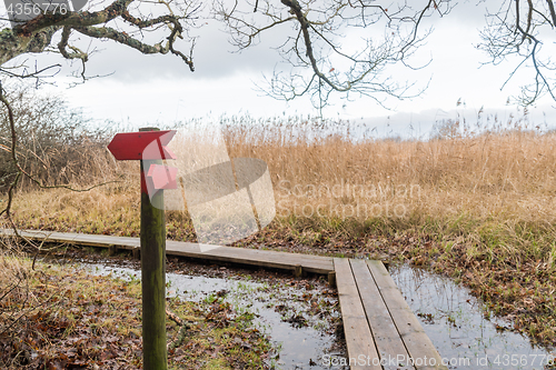 Image of Red wooden arrows