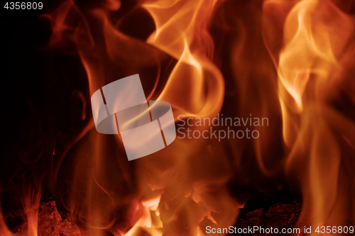 Image of Fire flames