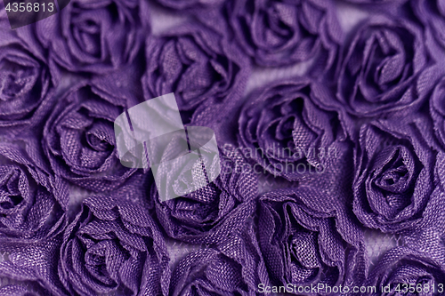 Image of Purple rose background