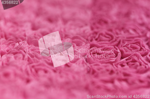 Image of Pink rose background