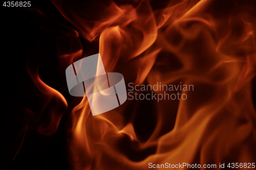 Image of Fire flames