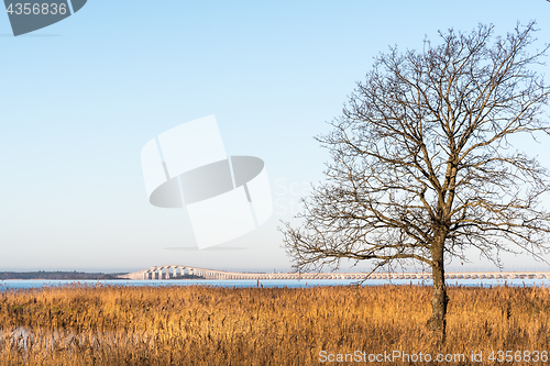 Image of The Oland Bridge in Sweden