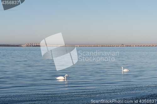 Image of The Swedish Oland Bridge