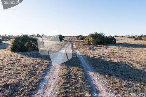 Image of Country road in a great plain landscape