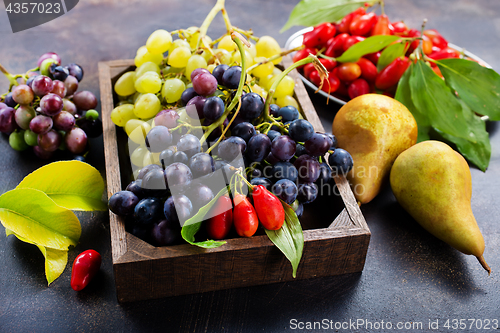 Image of autumn fruits