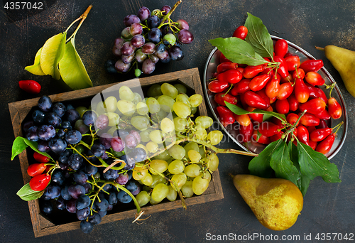 Image of autumn fruits