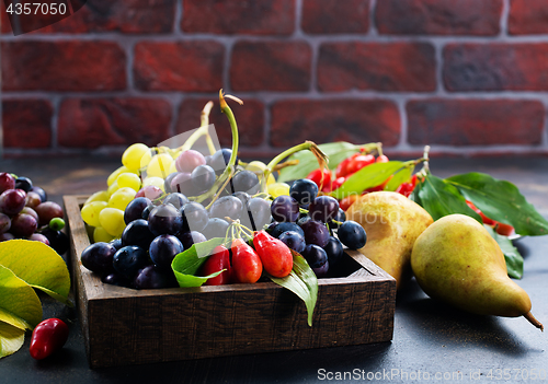 Image of autumn fruits