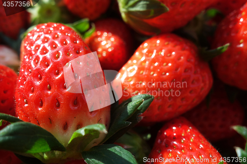 Image of Fresh and red strawberries 