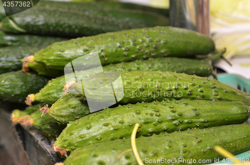 Image of Green fresh cucumber in box on sale