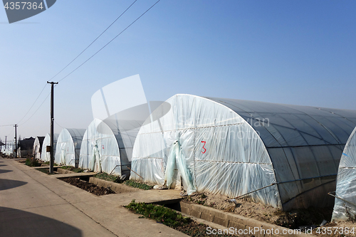 Image of Large greenhouse for plants in the autumn