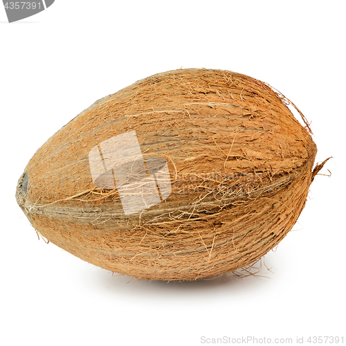 Image of Coconut